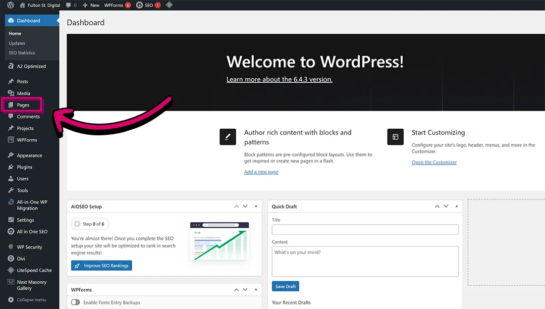 Screenshot 2024-02-09 230137 copy Screenshot of WordPress Pages tab
